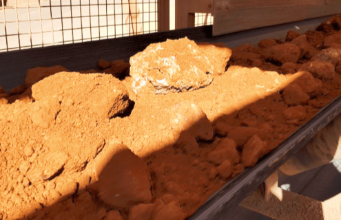 Conveyor Belt Wear Strips and Maintenance for Prolonged Durability