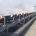 Bulk material conveyor belt supported by troughing rollers along the carrying run